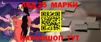 МДПВ Бердск