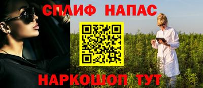 МДПВ Бердск
