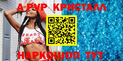 МДПВ Бердск