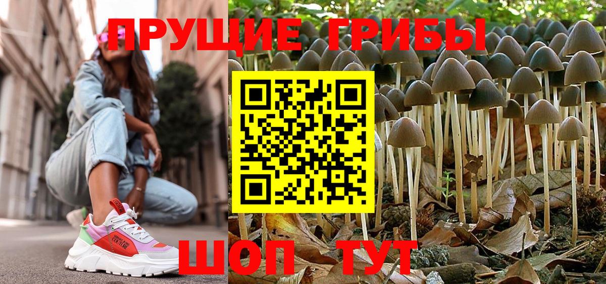 Галлюциногенные грибы Cubensis Альметьевск