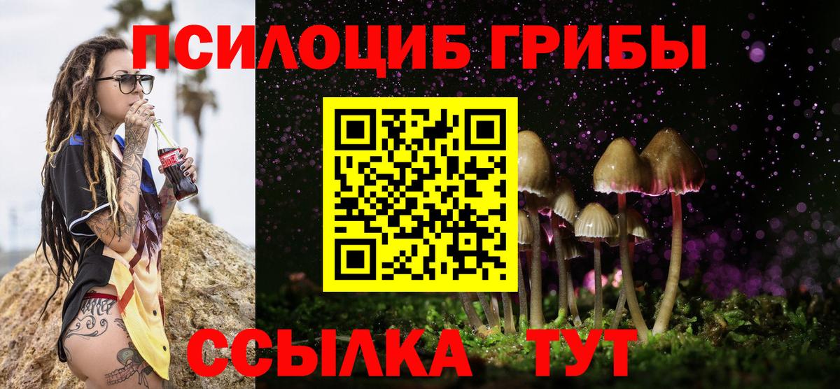 даркнет сайт  Вход с VPN  Альметьевск  Псилоцибиновые грибы MAGIC MUSHROOMS 